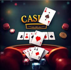5542 com bet
